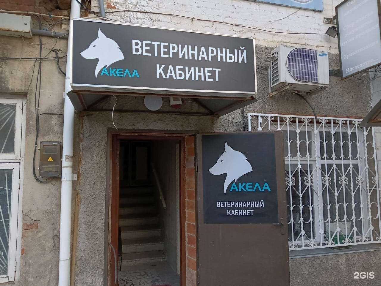 Отзывы на компанию Акела в г. Новокубанск c фото