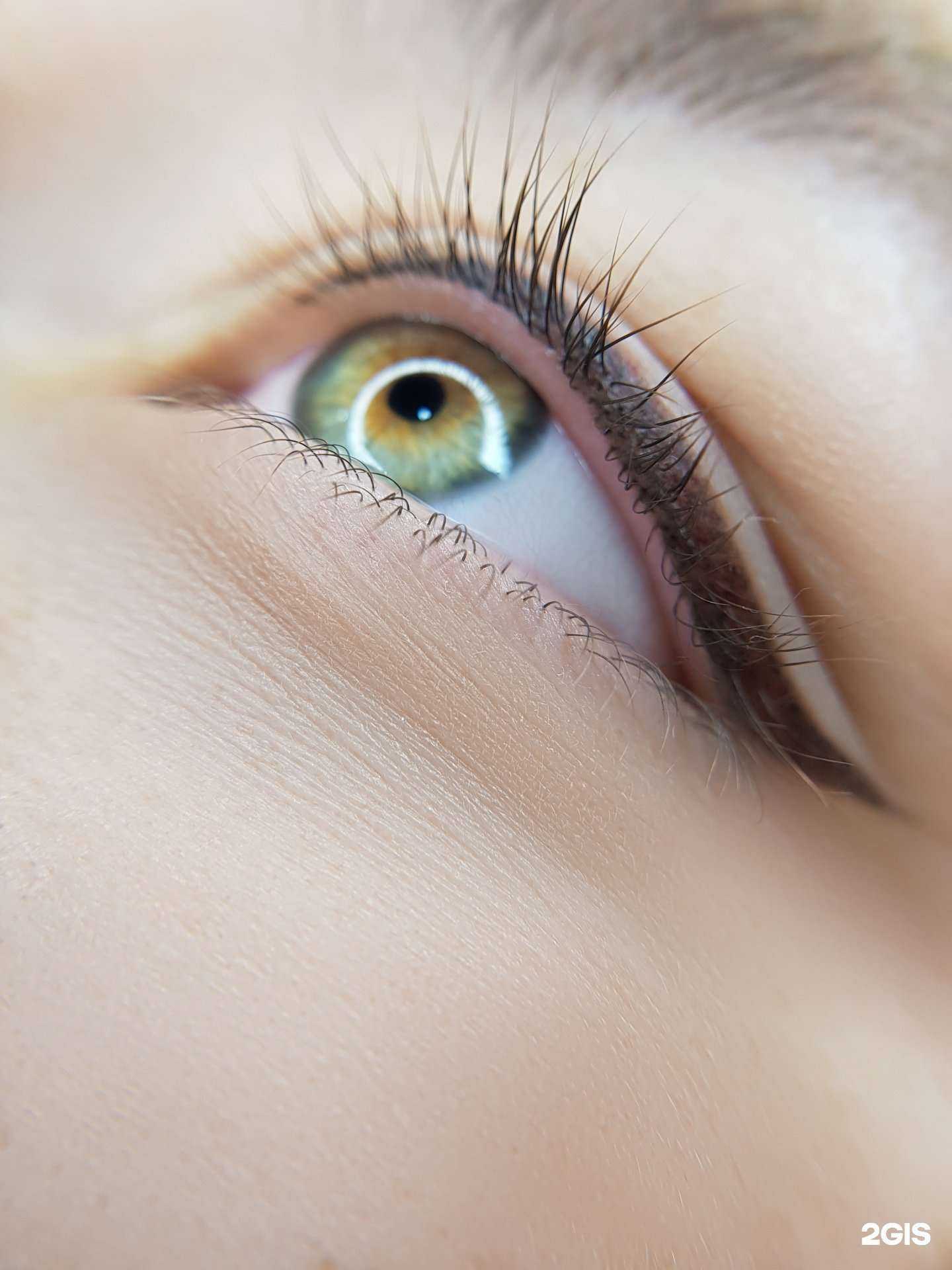 Отзывы на компанию Студия перманентного макияжа в Волгограде c фото