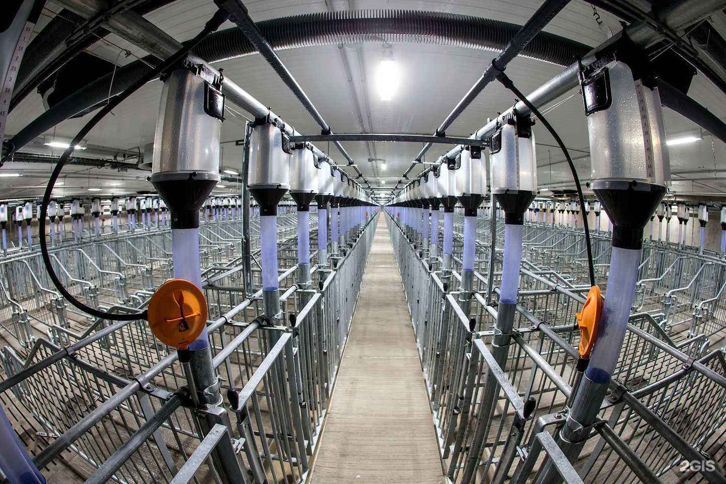 Отзывы на компанию Коралл в Бежецке c фото