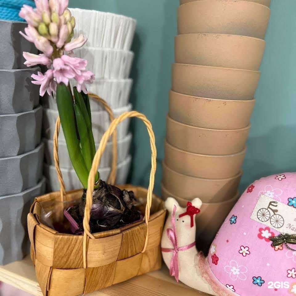 Отзывы на компанию Цветочная лавка в г. Таганрог c фото