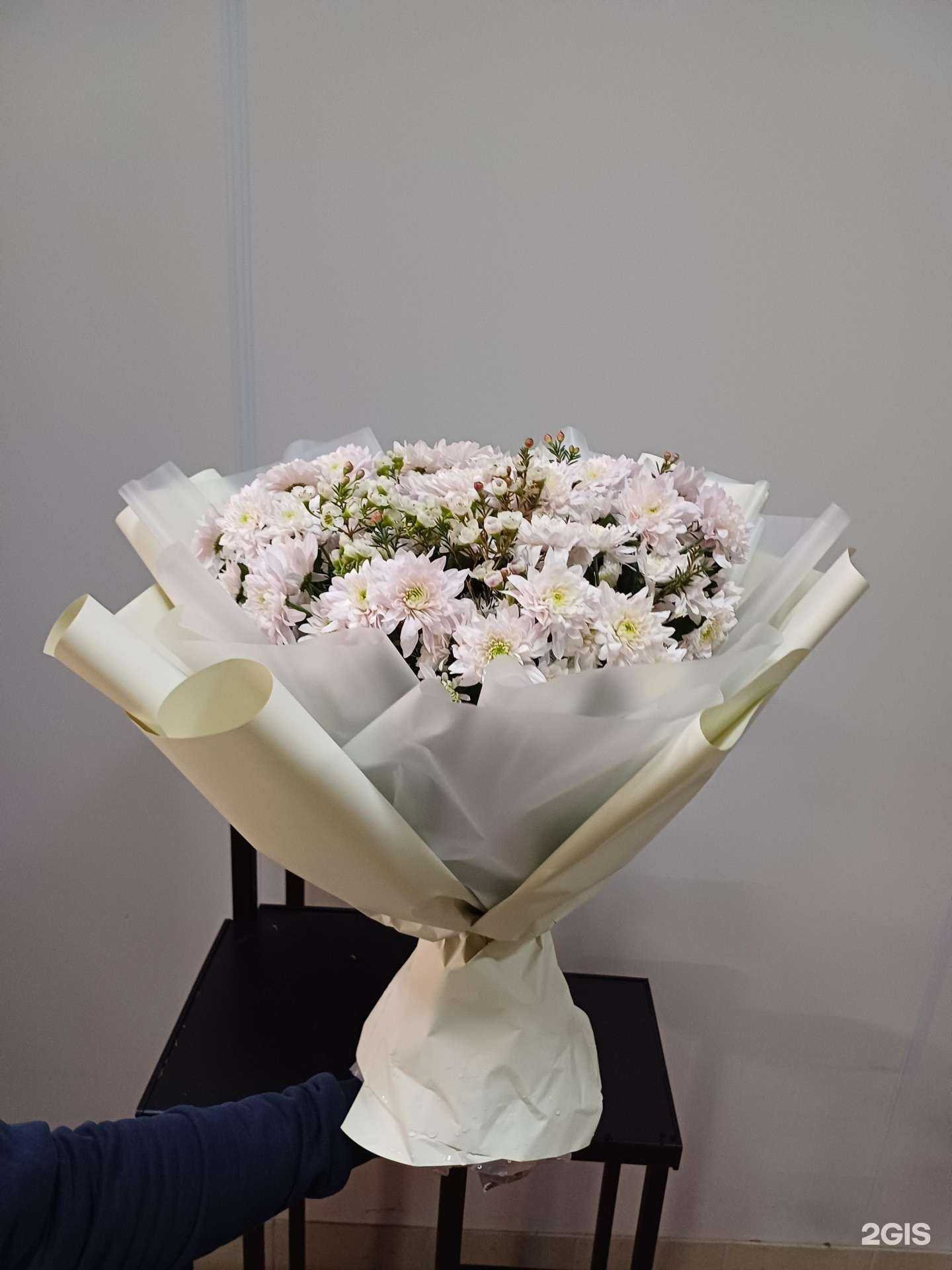 Отзывы на компанию Флорина в Брянске c фото