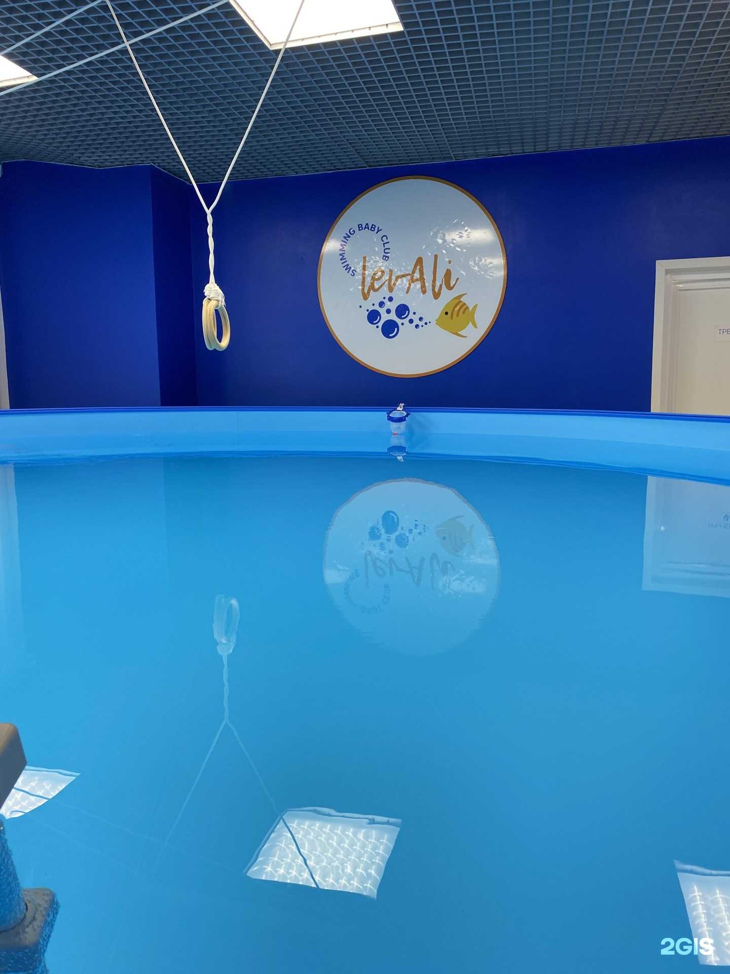 Отзывы на компанию LevAli в Саранске c фото