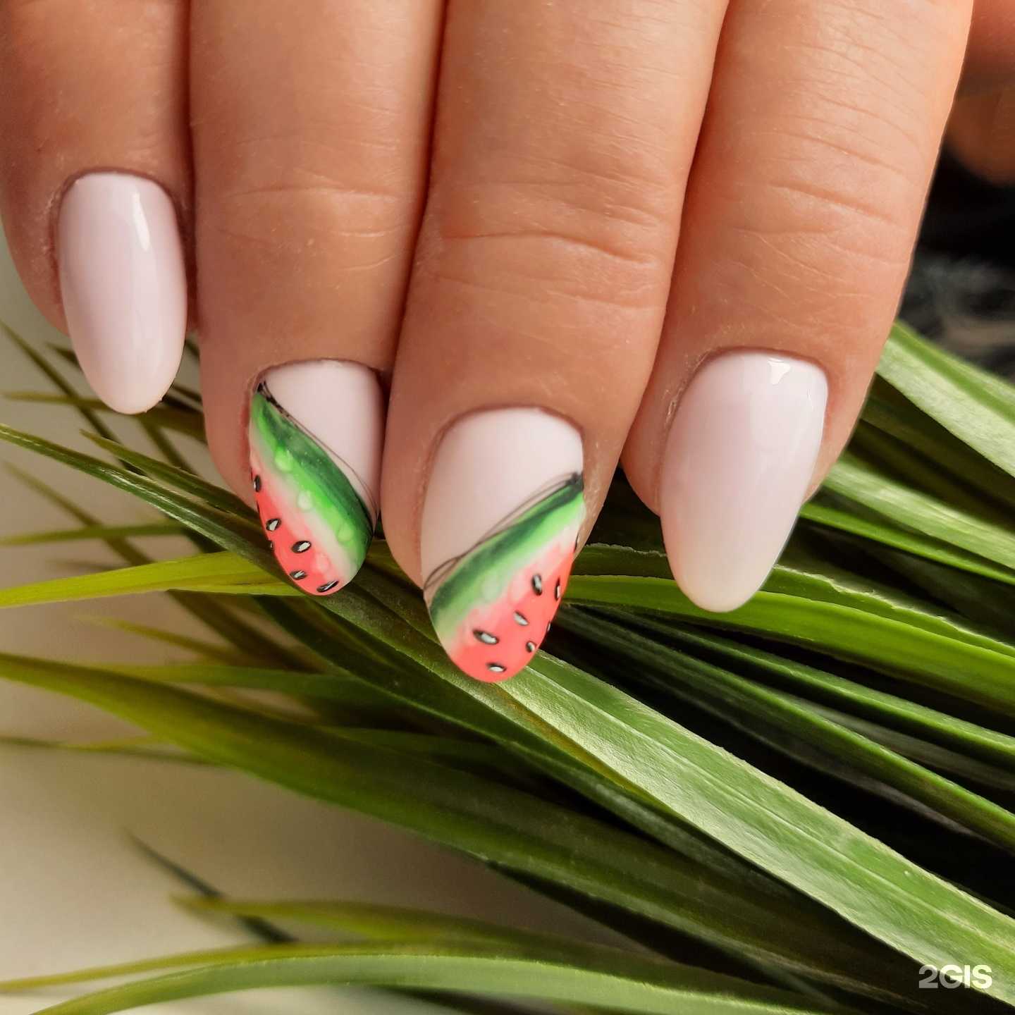 Отзывы на компанию Лиса в Самаре c фото