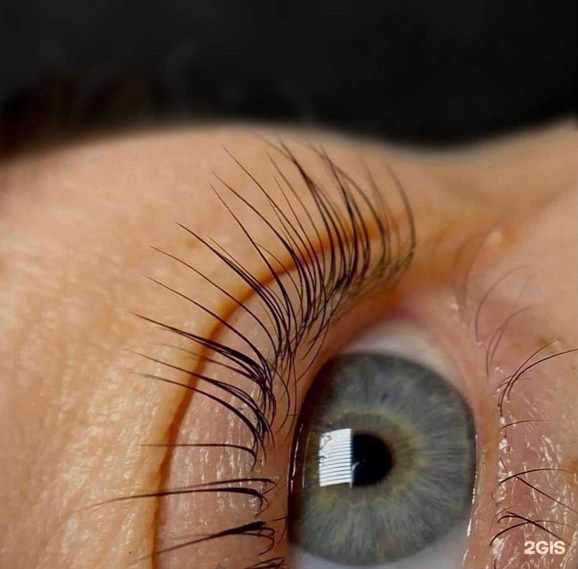 Отзывы на компанию Lashbrow в Томске c фото