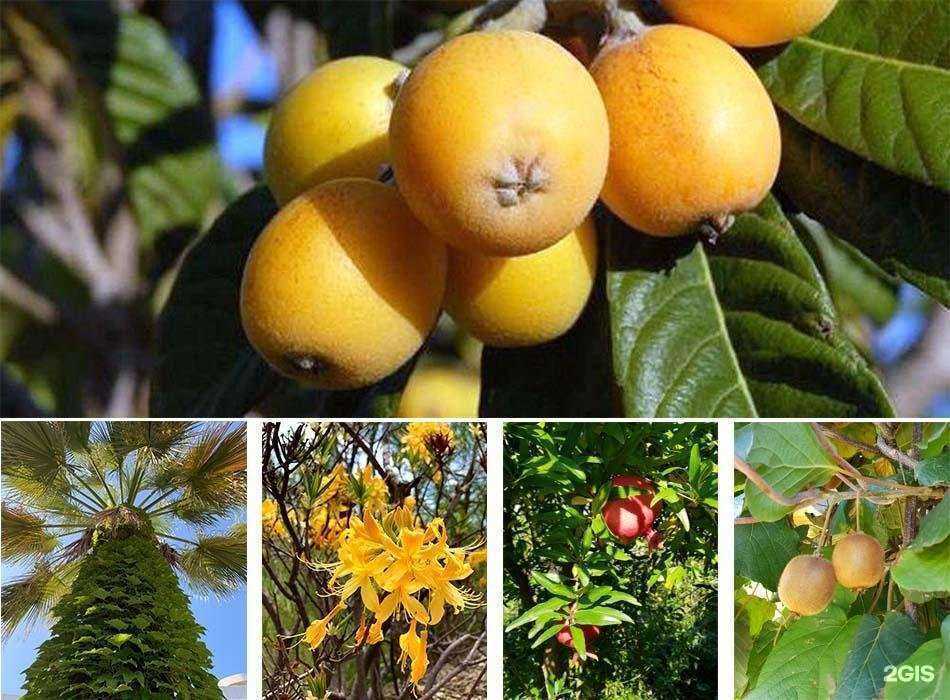 Отзывы на компанию Градриэлт в Сочи c фото