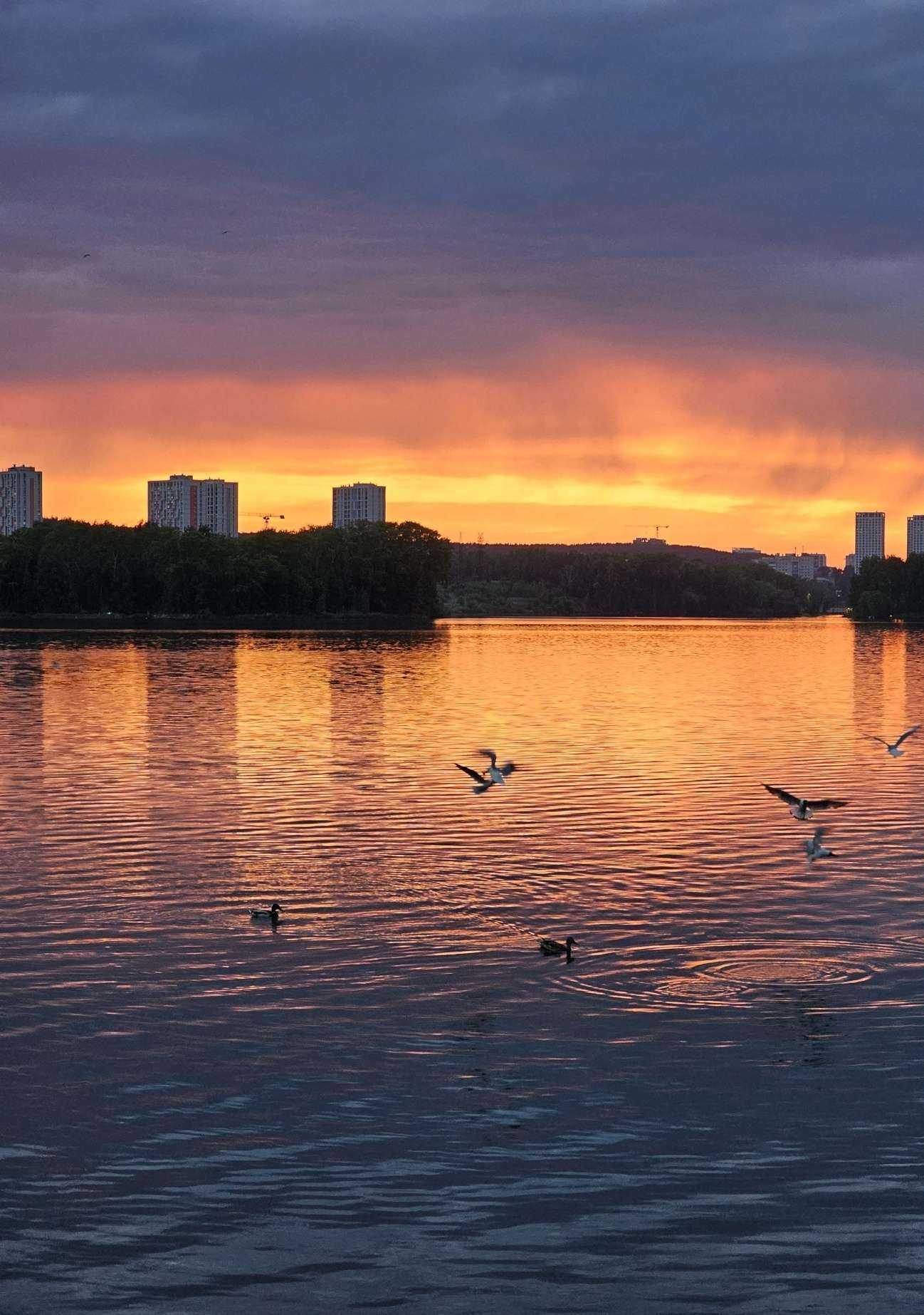 Отзывы на компанию Беседки-Екб в г. Екатеринбург c фото