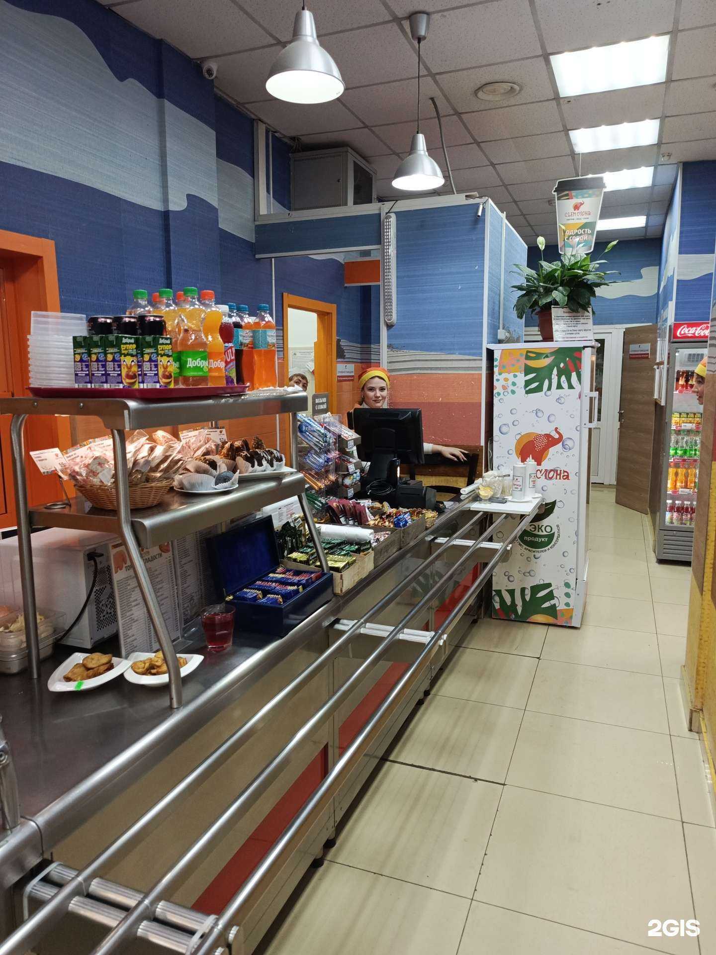 Отзывы на компанию Съем слона в Красноярске c фото