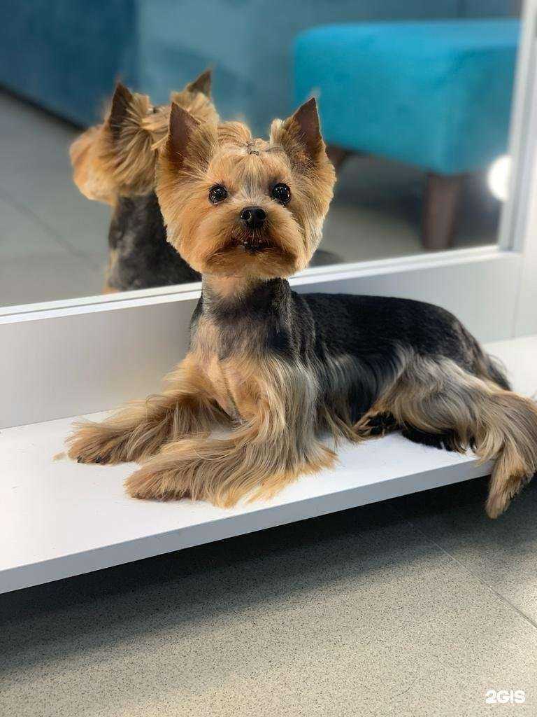 Отзывы на компанию Barri в Тамбове c фото