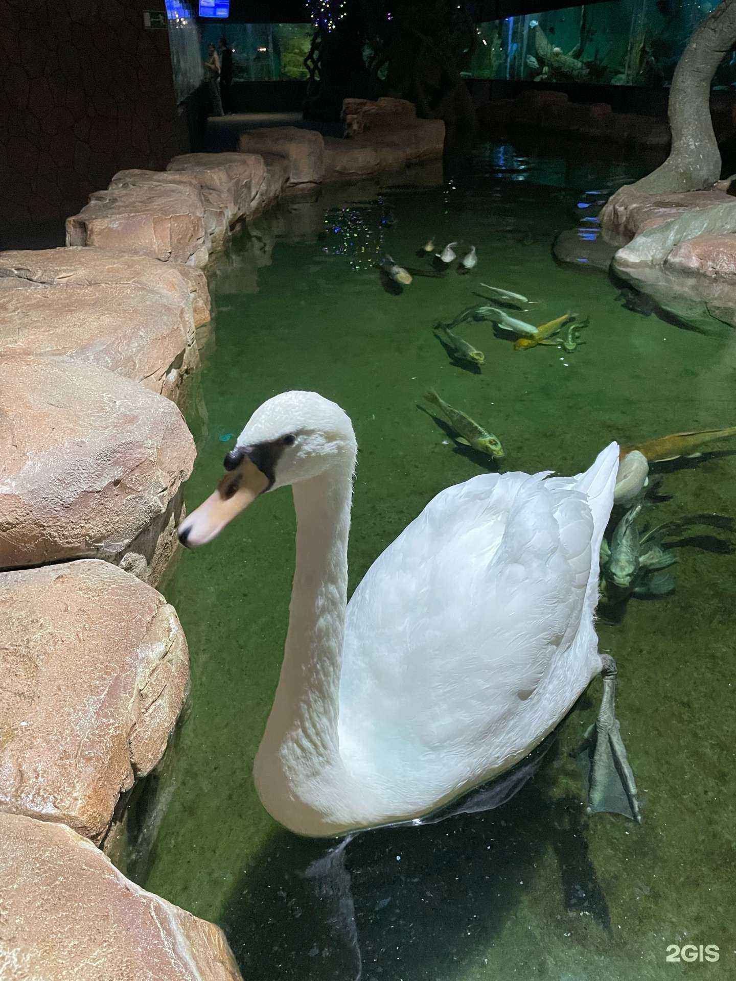 Отзывы на компанию Letout в г. Самара c фото