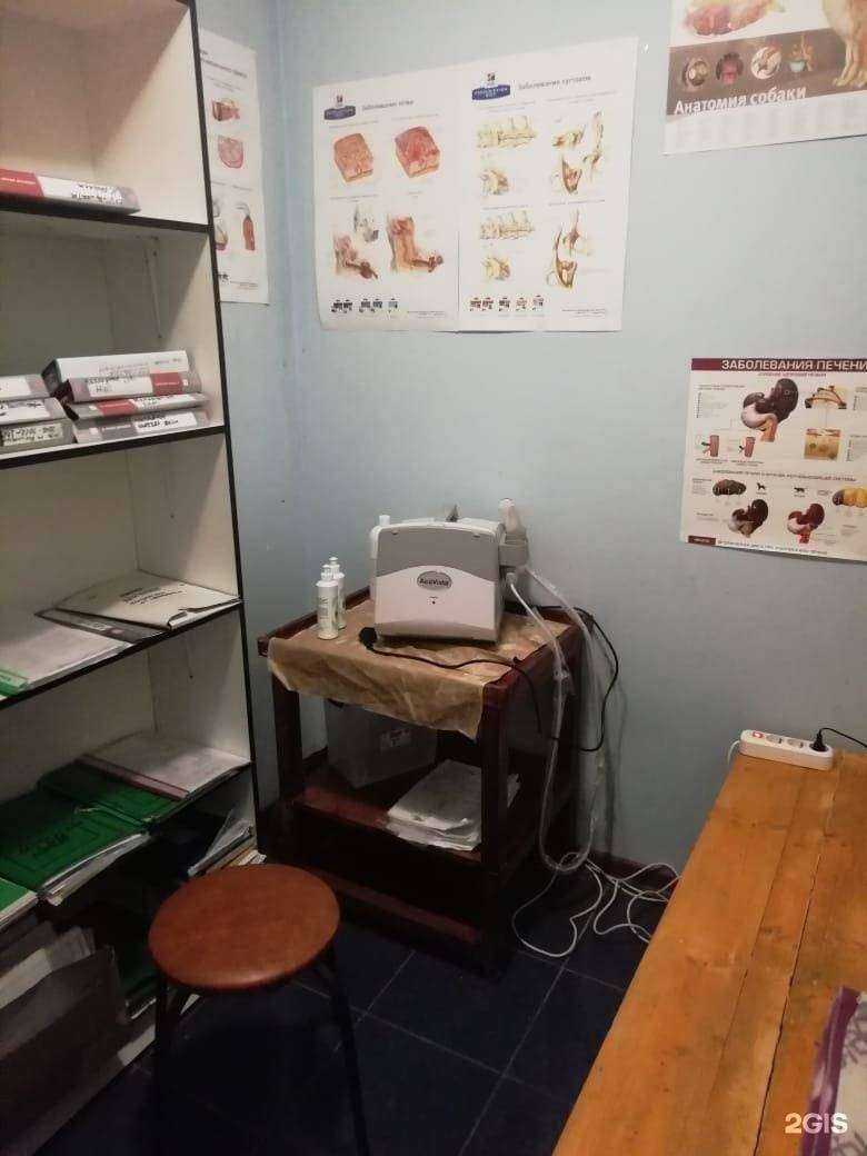 Отзывы на компанию Кот и Пес в г. Голицыно c фото