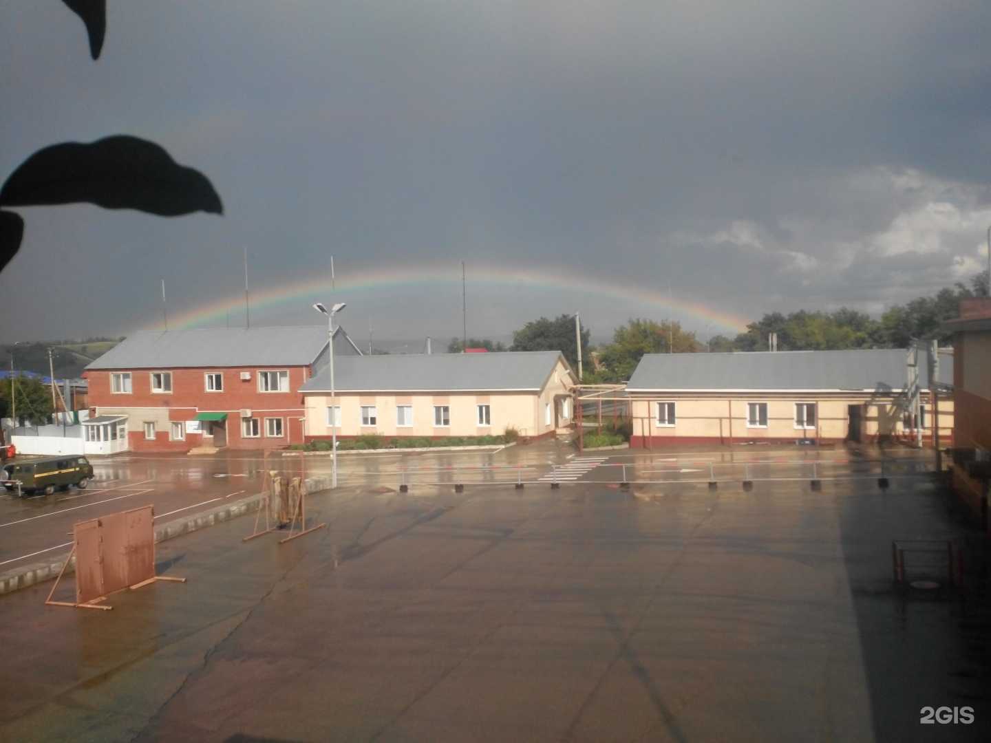 Отзывы на компанию Витязь в Лениногорске c фото