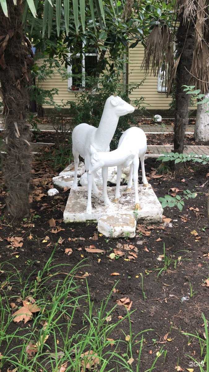 Отзывы на компанию Компания по продаже песка, щебня и керамзита в Сочи c фото