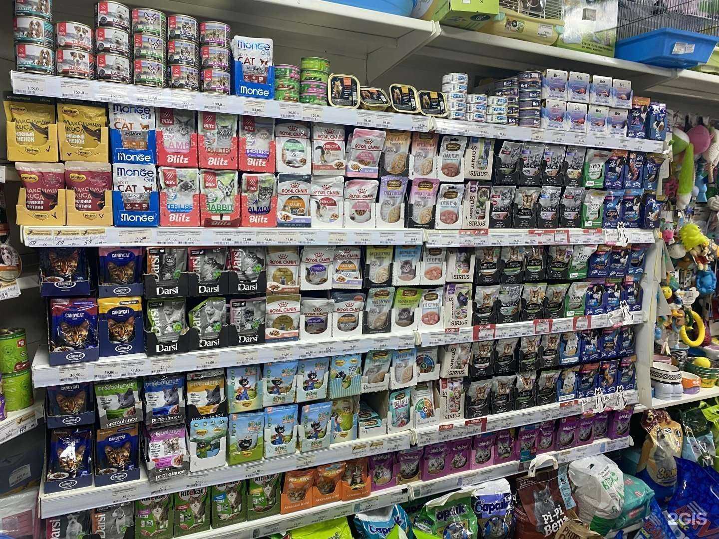 Отзывы на компанию Черный кот в г. Казань c фото