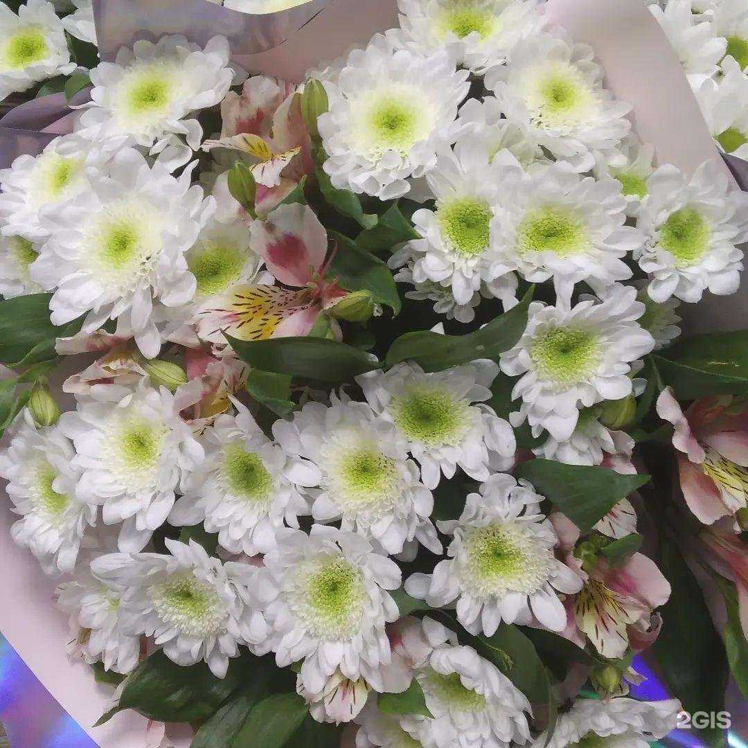 Отзывы на компанию Салон цветов в Сургуте c фото