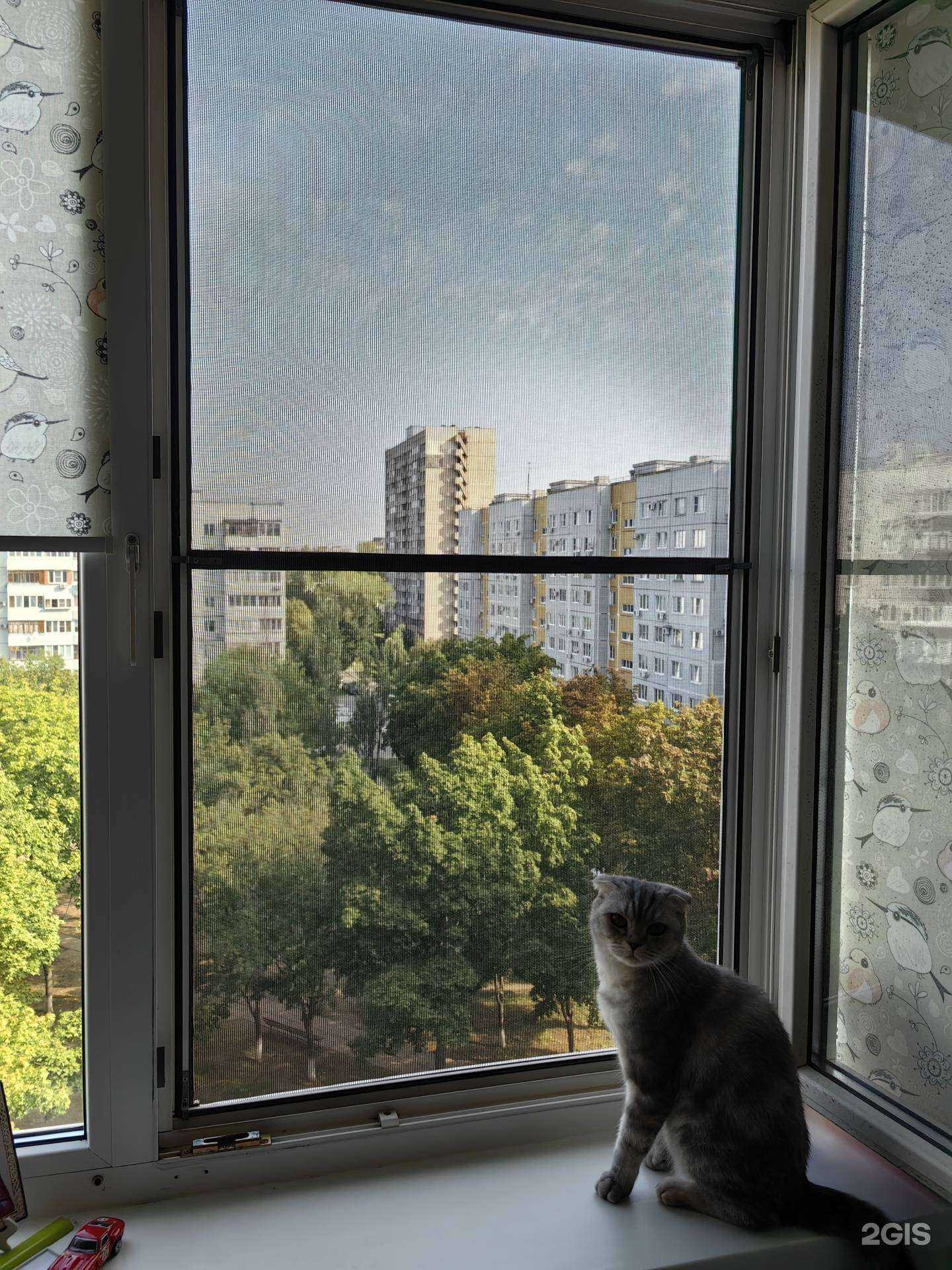 Отзывы на компанию Метр в г. Тольятти c фото