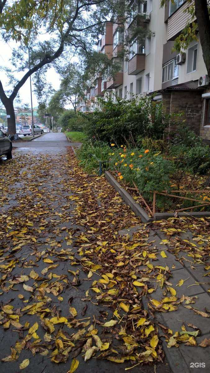 Отзывы на компанию Всё для печати в г. Владивосток c фото