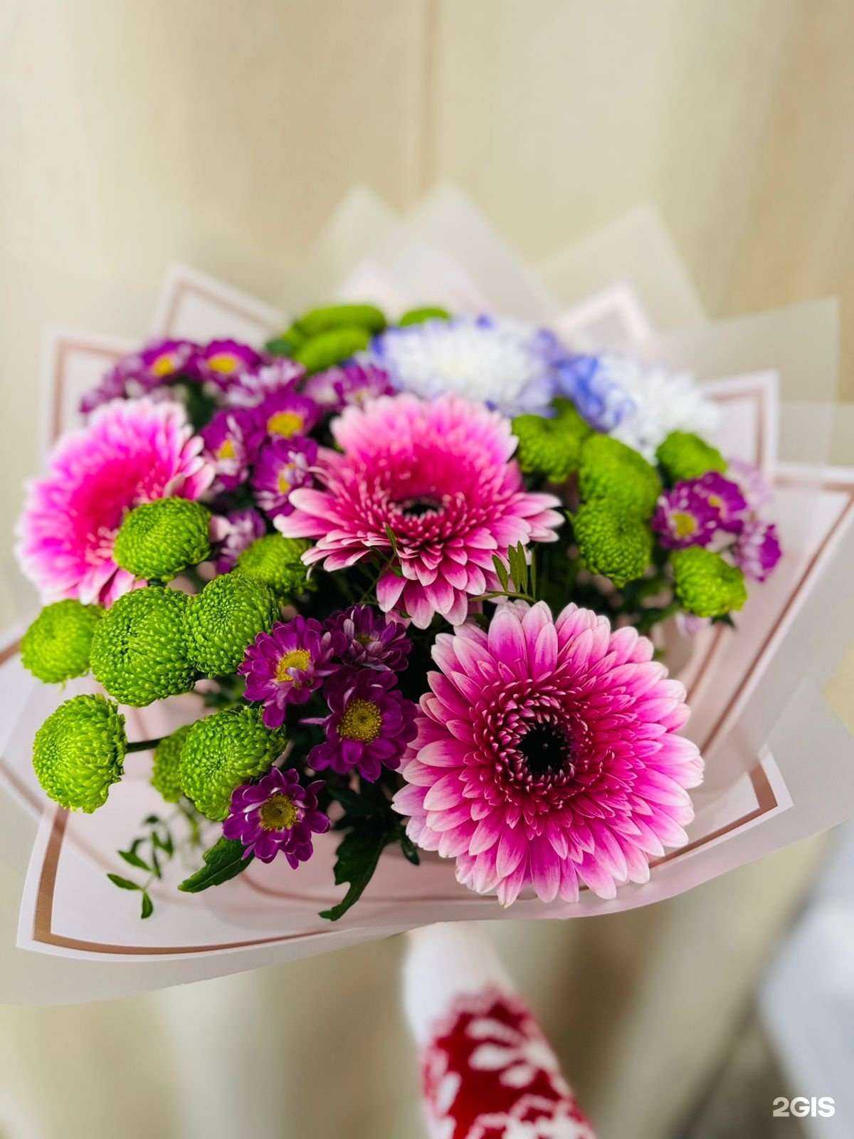 Отзывы на компанию Лотос в г. Елабуга c фото