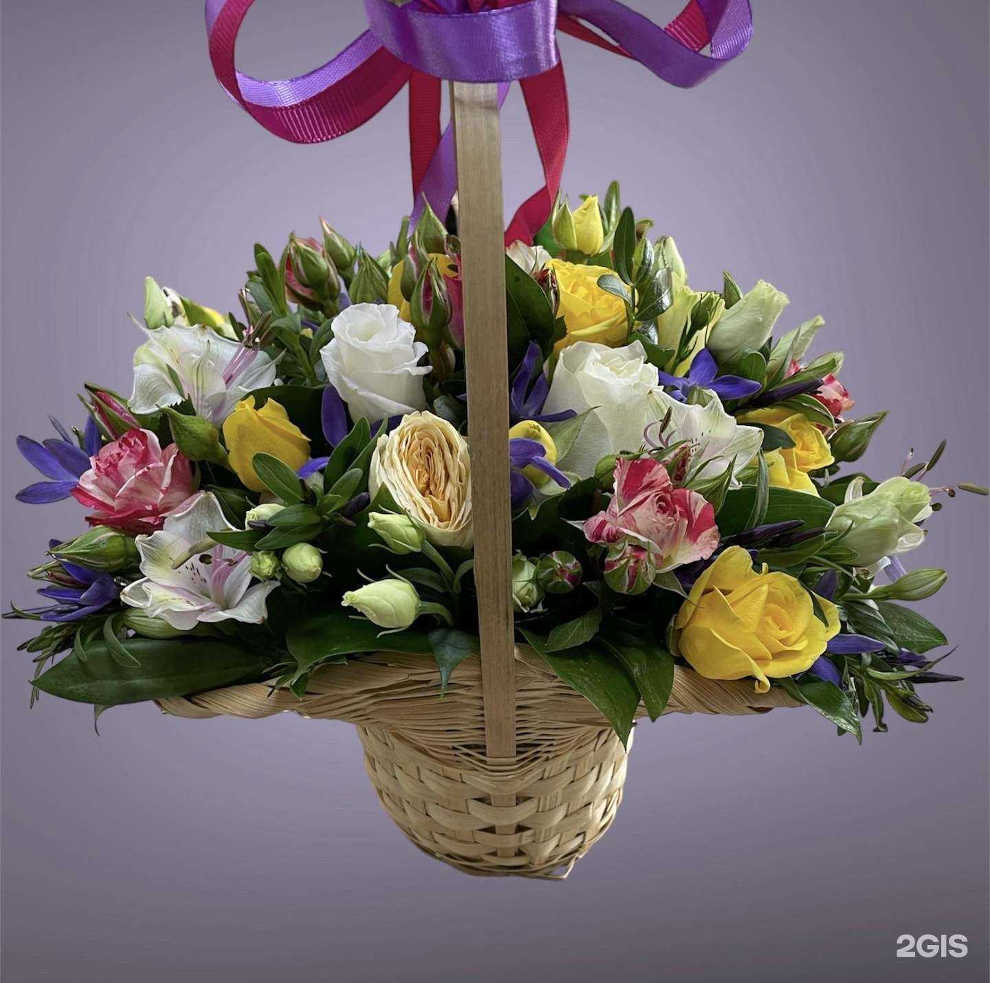 Отзывы на компанию Эдем в Белгороде c фото