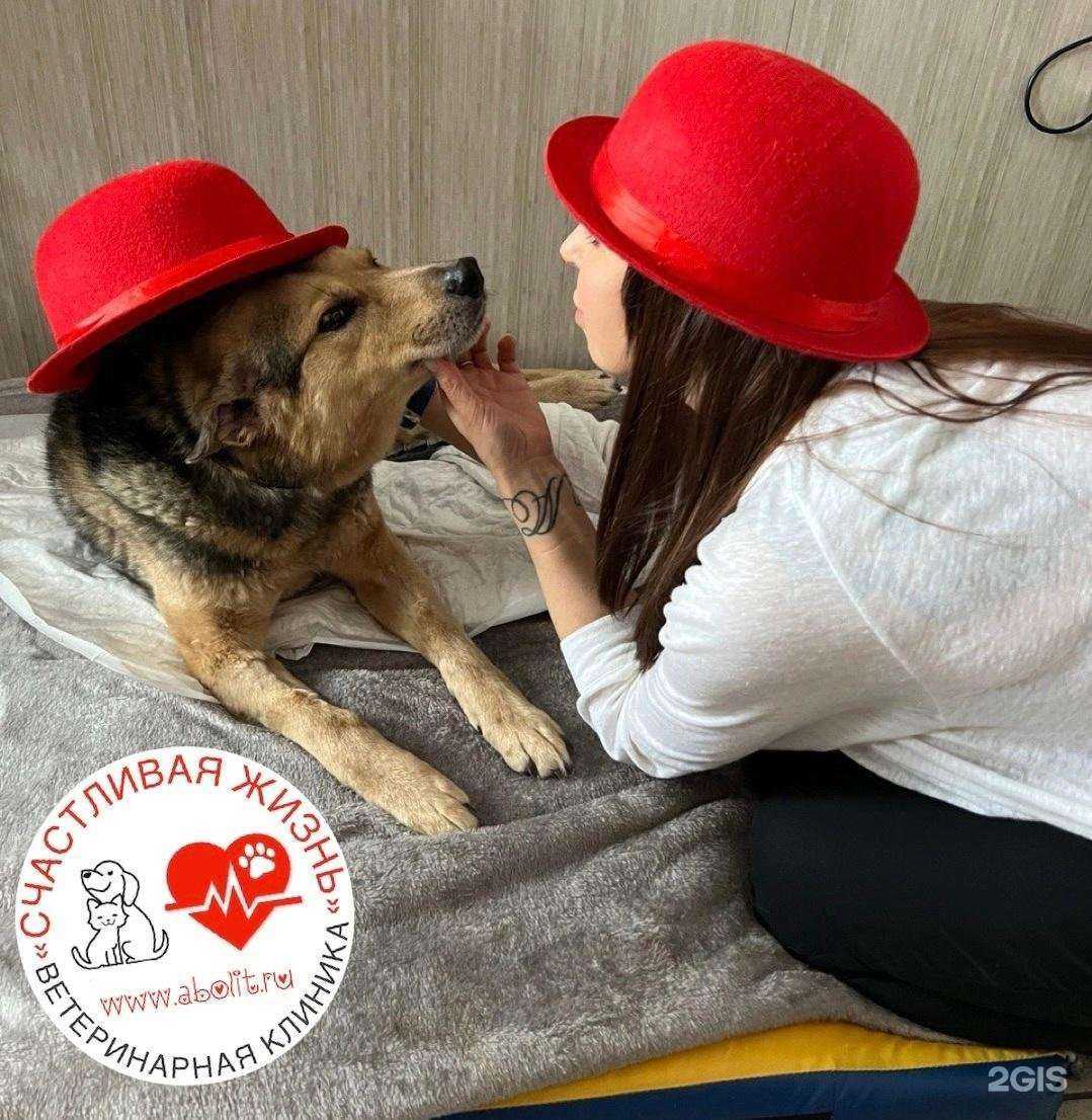 Отзывы на компанию Айболит в г. Самара c фото