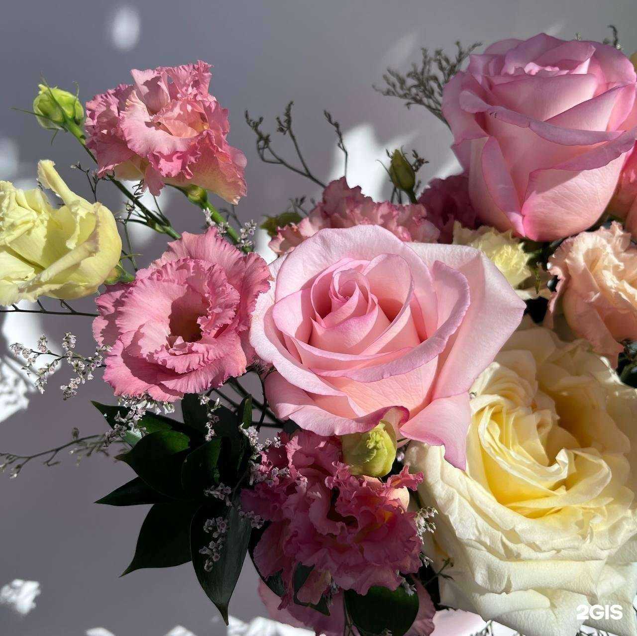 Отзывы на компанию New Расцвет в г. Иркутск c фото