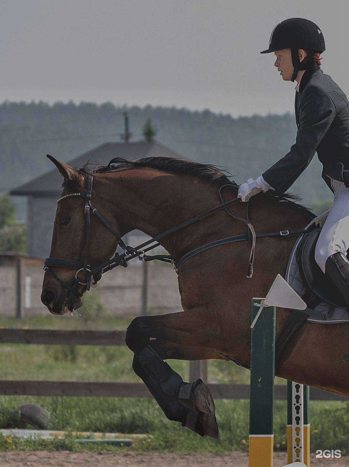 Отзывы на компанию КСК Байкальский в Иркутске c фото