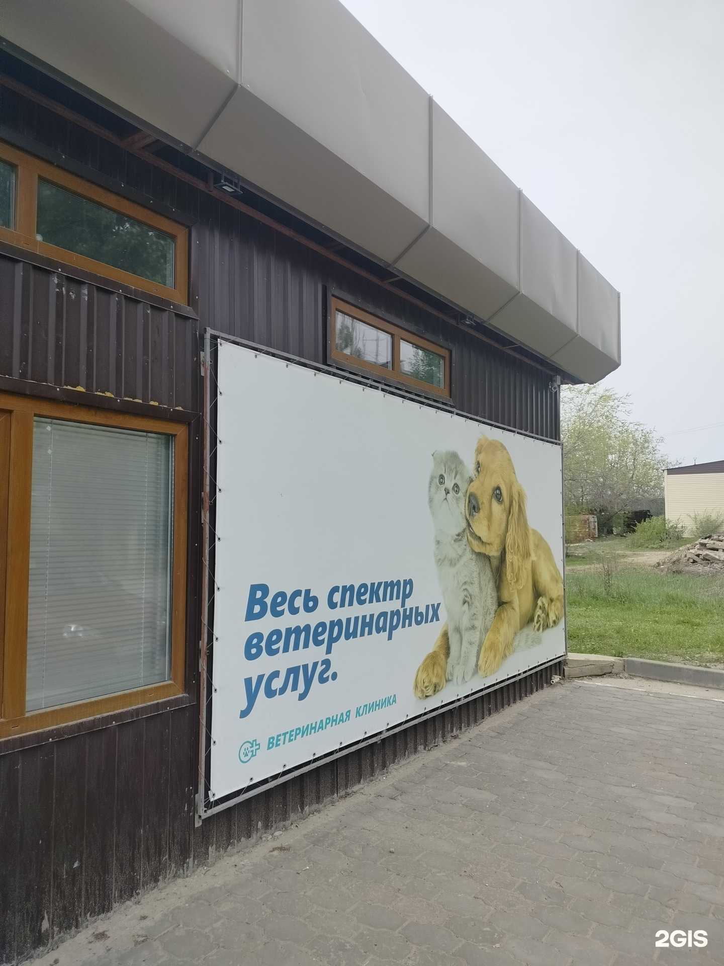 Отзывы на компанию Ветеринарная клиника в г. Камышин c фото