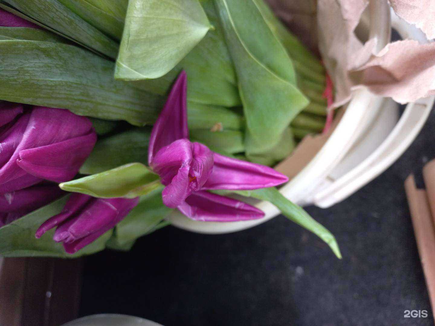 Отзывы на компанию Цветочная компания в г. Красноярск c фото