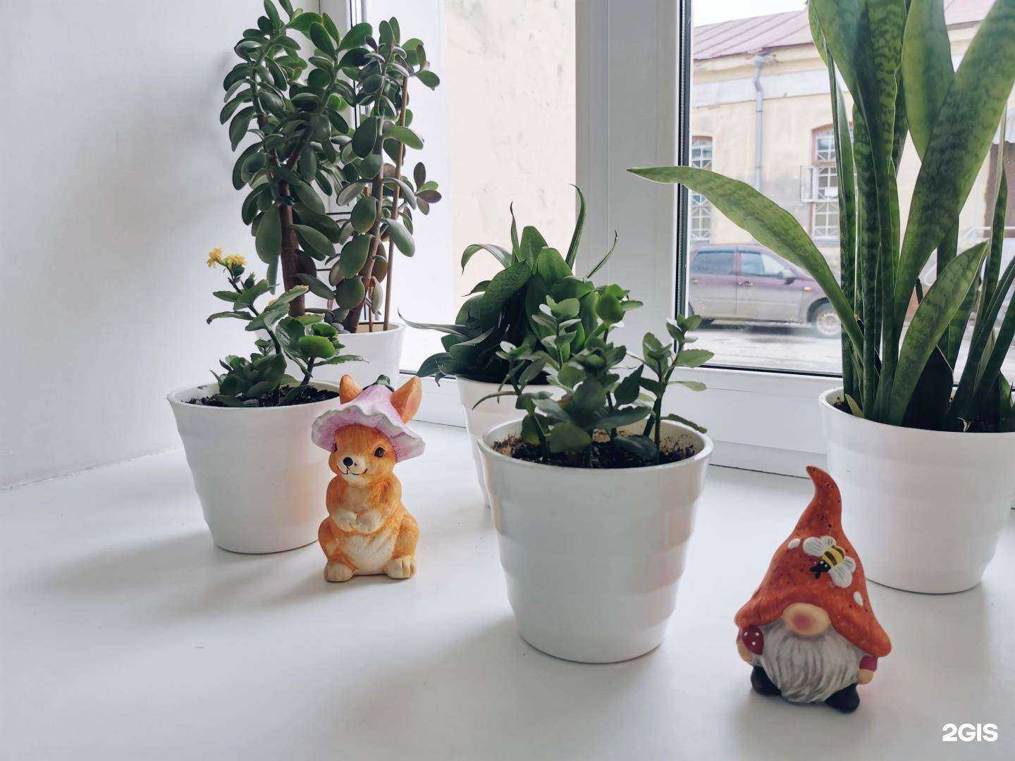 Отзывы на компанию Детская больница №1 в Томске c фото