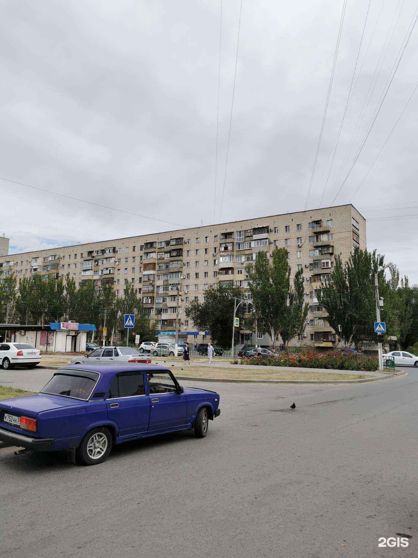 Отзывы на компанию Зооволна.ру в Волжском c фото - фотография 2 из 2