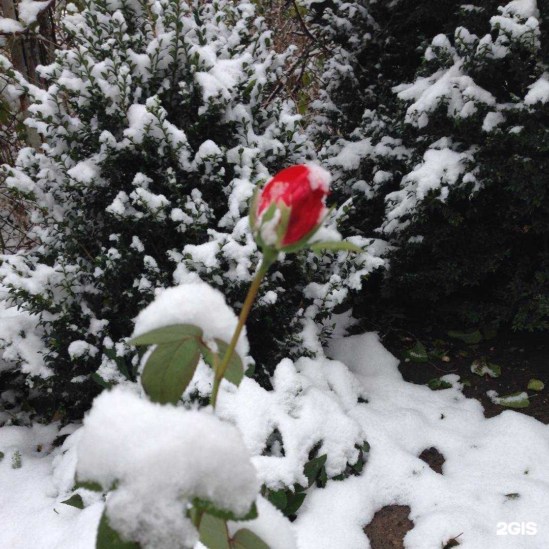 Отзывы на компанию Авиакасса26 в г. Ставрополь c фото