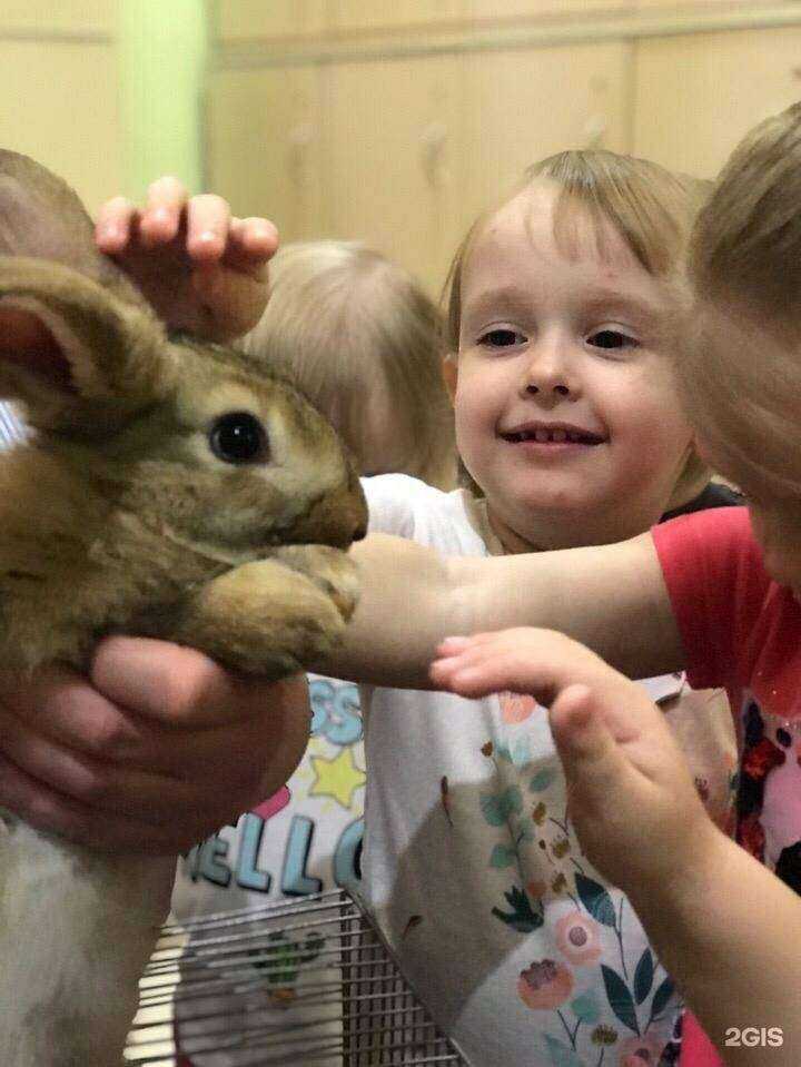 Отзывы на компанию Счастливое детство в Новосибирске c фото