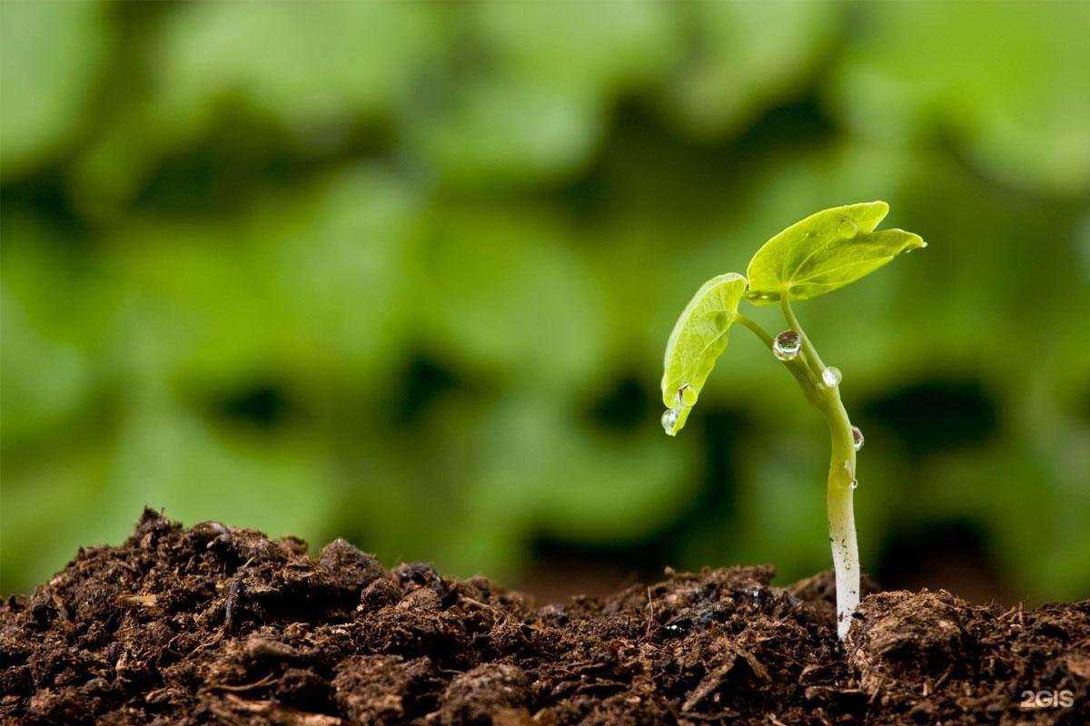 Отзывы на компанию Конавоз в Жуковском c фото