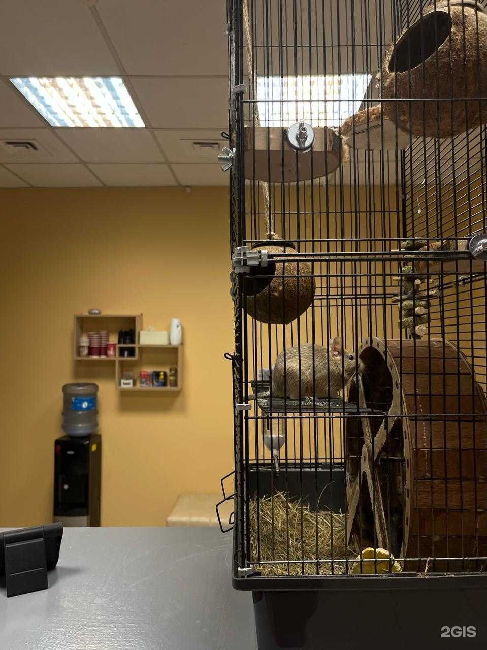 Отзывы на компанию ТехноЭксперт в г. Находка c фото