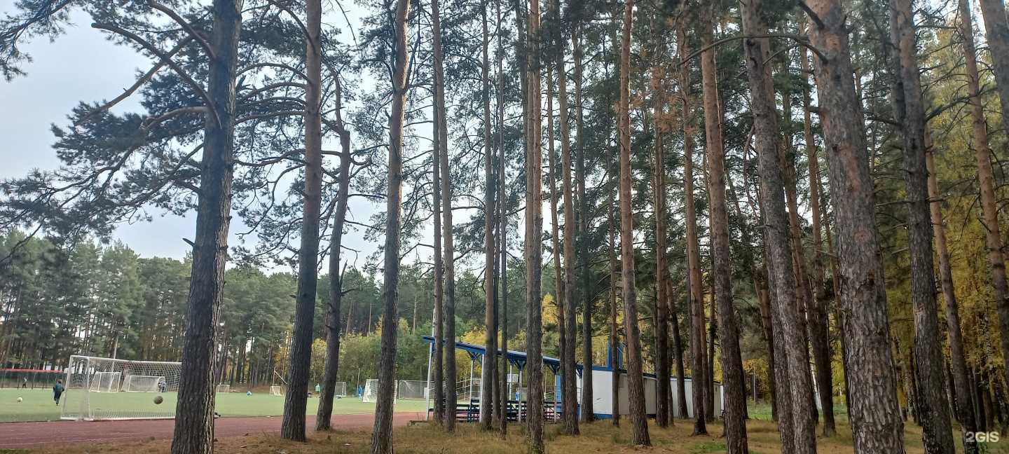 Отзывы на компанию Факел в Екатеринбурге c фото