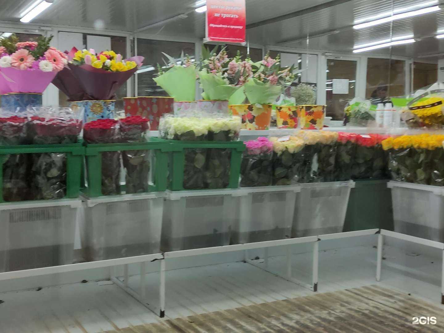 Отзывы на компанию Роза Роз в Сергиеве Посаде c фото