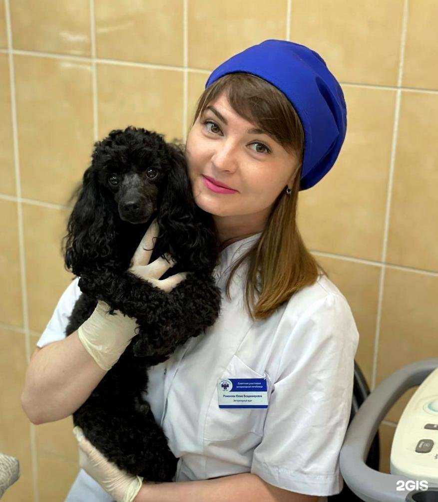 Отзывы на компанию Московское объединение ветеринарии в г. Коммунарка c фото