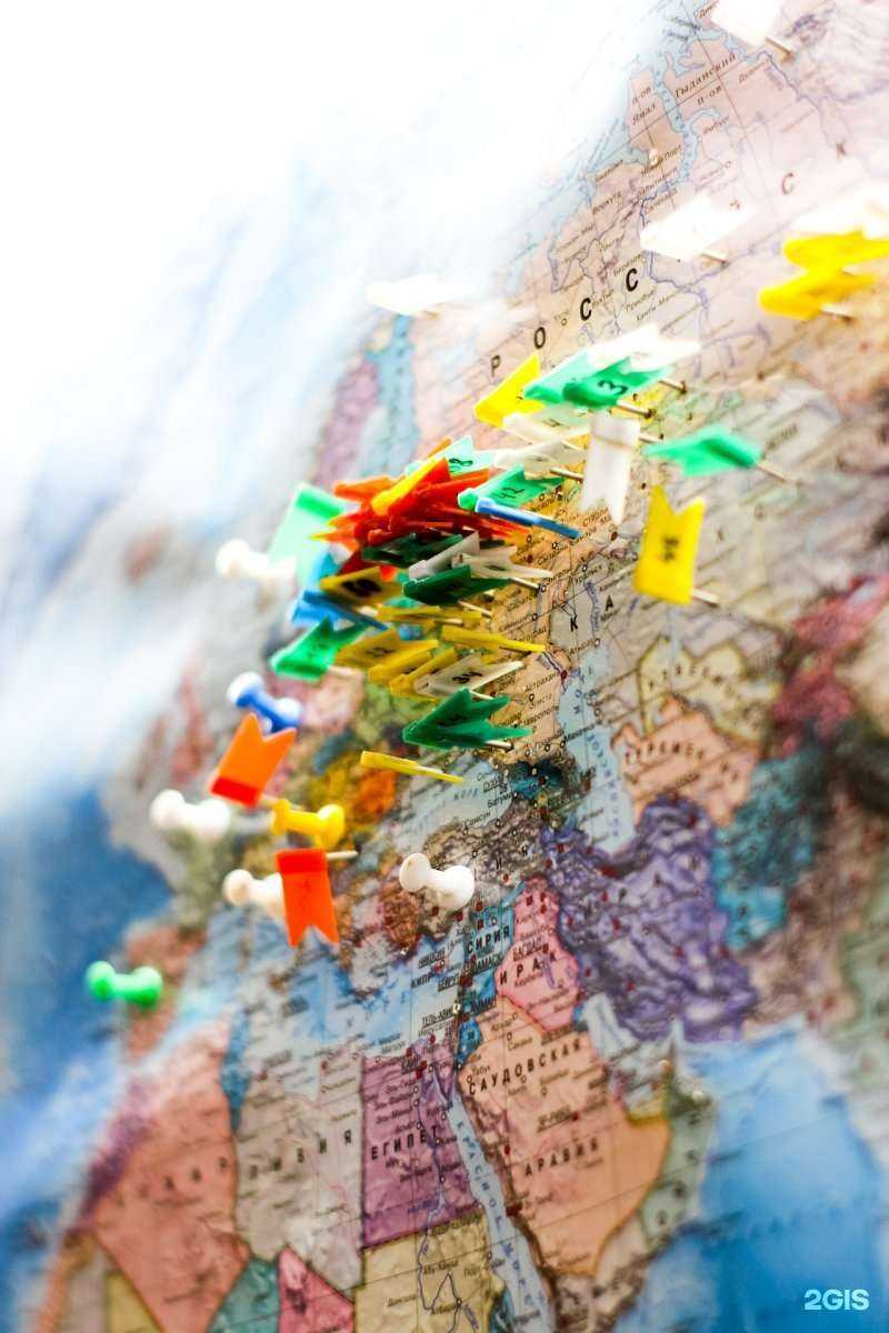 Отзывы на компанию Эндовет в Кургане c фото