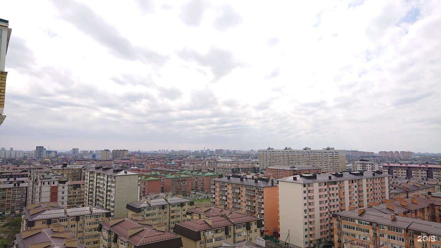 Отзывы на компанию Логосад в Краснодаре c фото - фотография 2 из 2