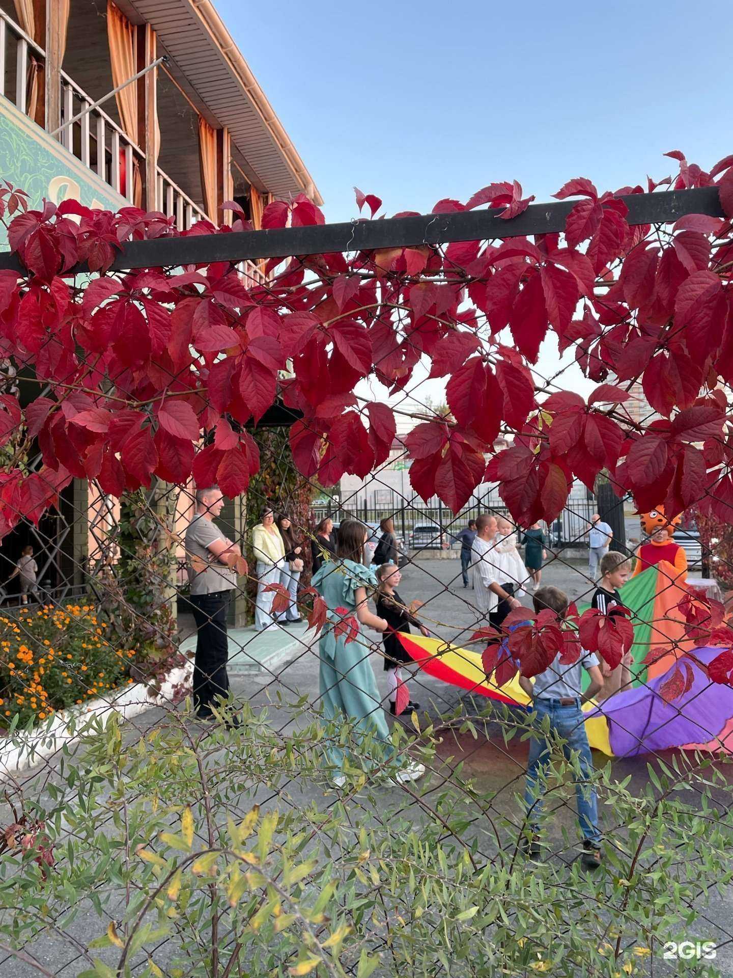 Отзывы на компанию Миллениум в Артёме c фото