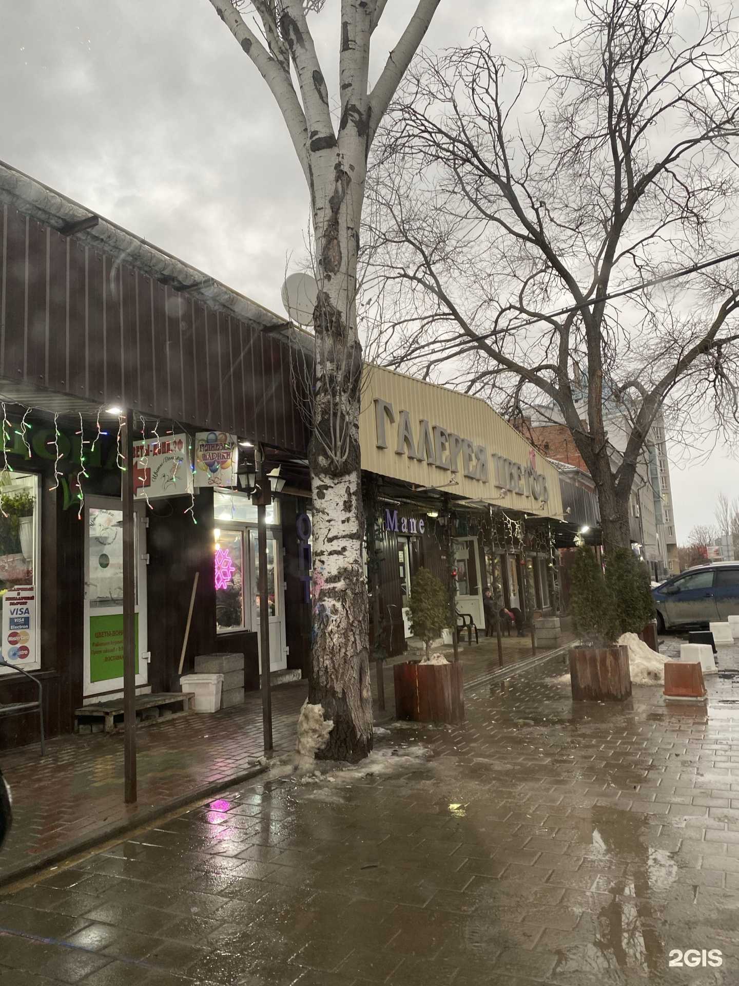 Отзывы на компанию ViraRose в Ростове-на-Дону c фото - фотография 2 из 2