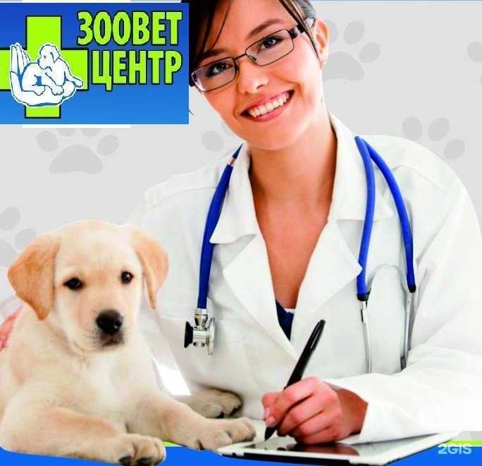 Отзывы на компанию Зооветцентр в Краснокамске c фото