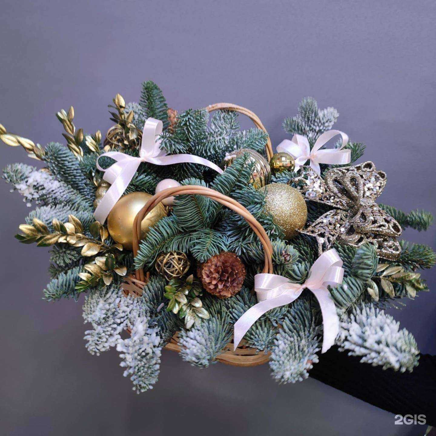 Отзывы на компанию Клевер в Саратове c фото