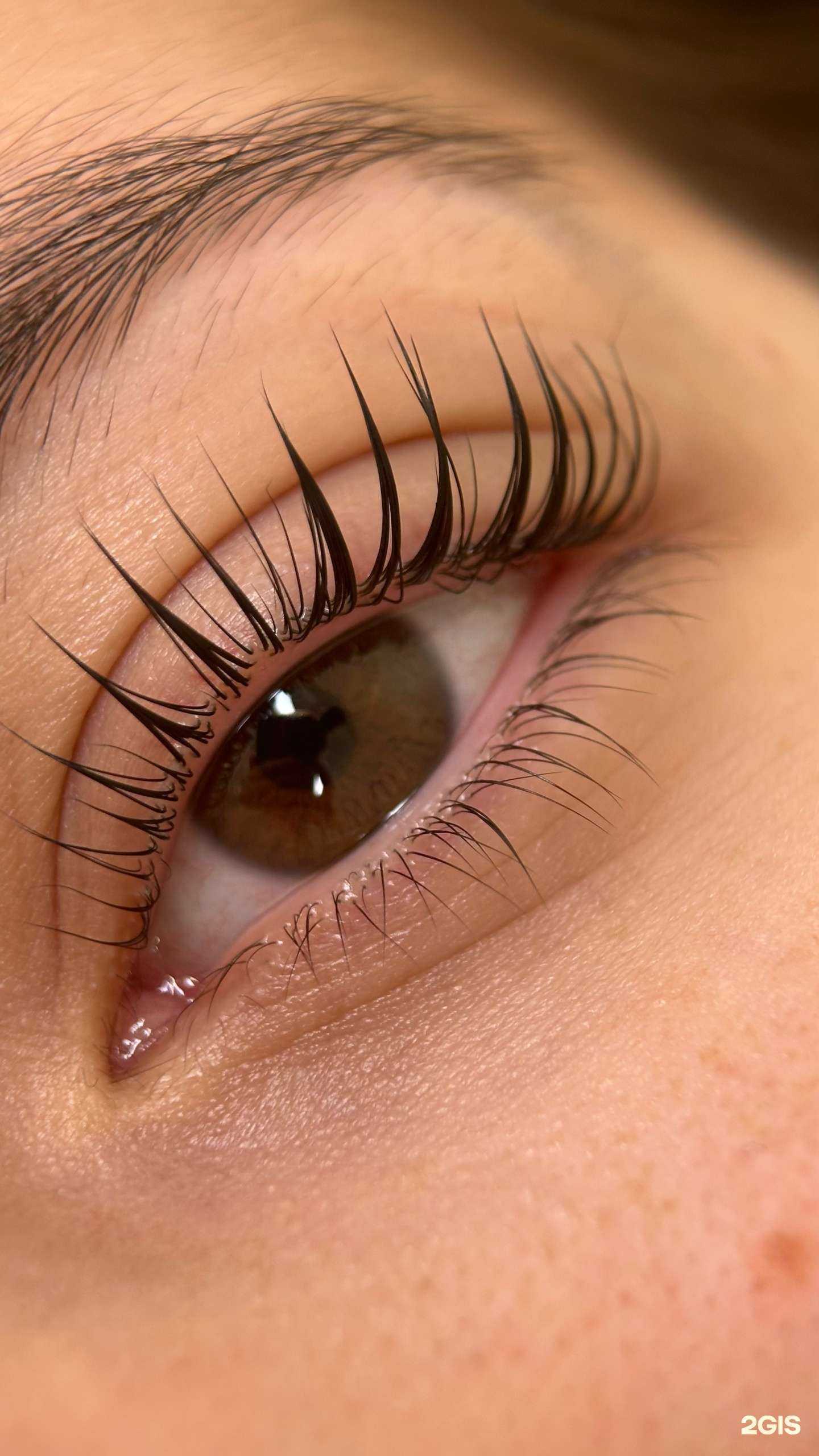 Отзывы на компанию Студия ламинирования бровей и ресниц в Ставрополе c фото