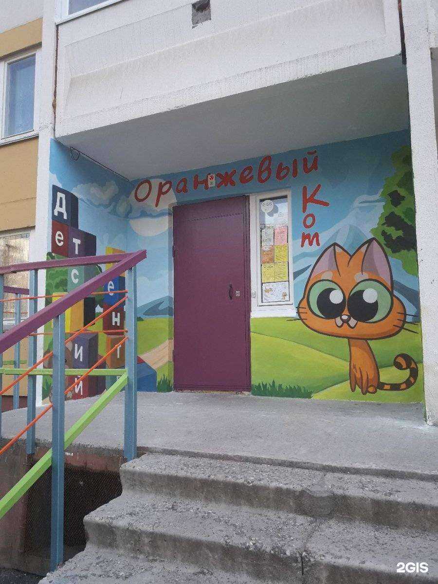 Отзывы на компанию Оранжевый кот в Ярославле c фото