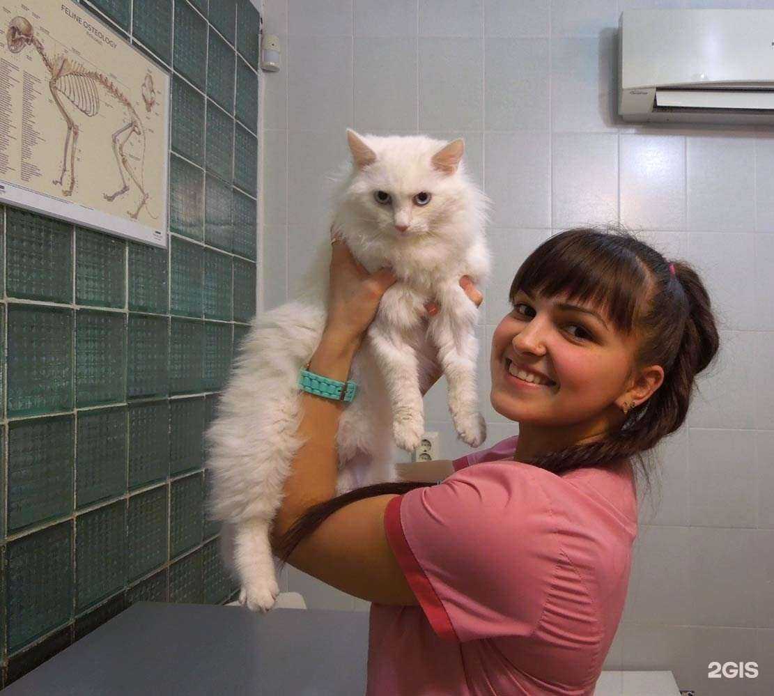 Отзывы на компанию Зоовита в Казани c фото