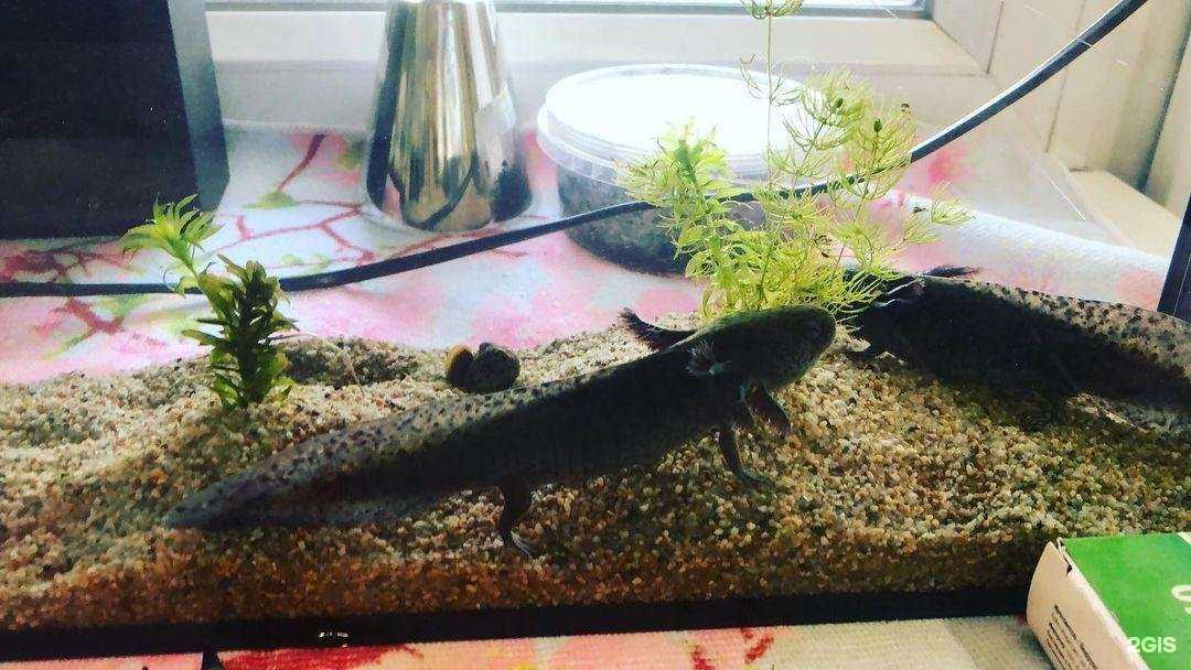 Отзывы на компанию Сервисный центр в Казани c фото