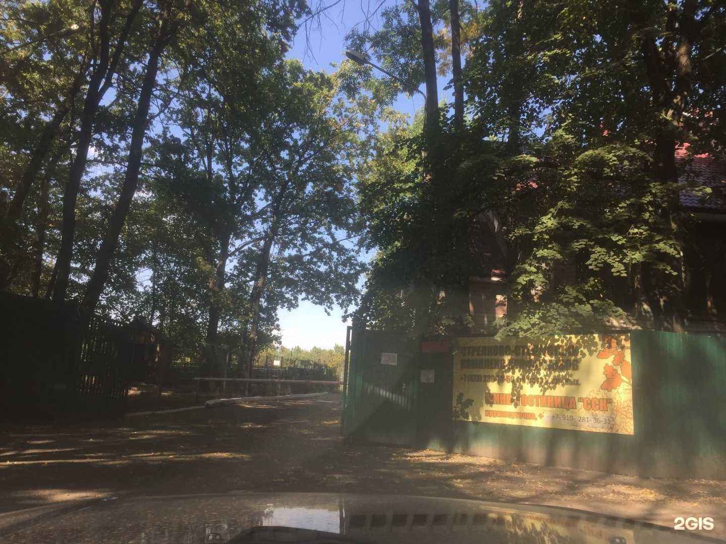 Отзывы на компанию Спортивная школа Олимпийского резерва № 1 в Воронеже c фото