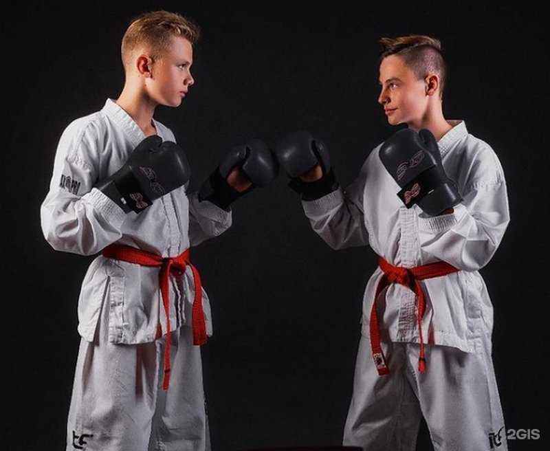 Отзывы на компанию Black Tigers в г. Волгоград c фото