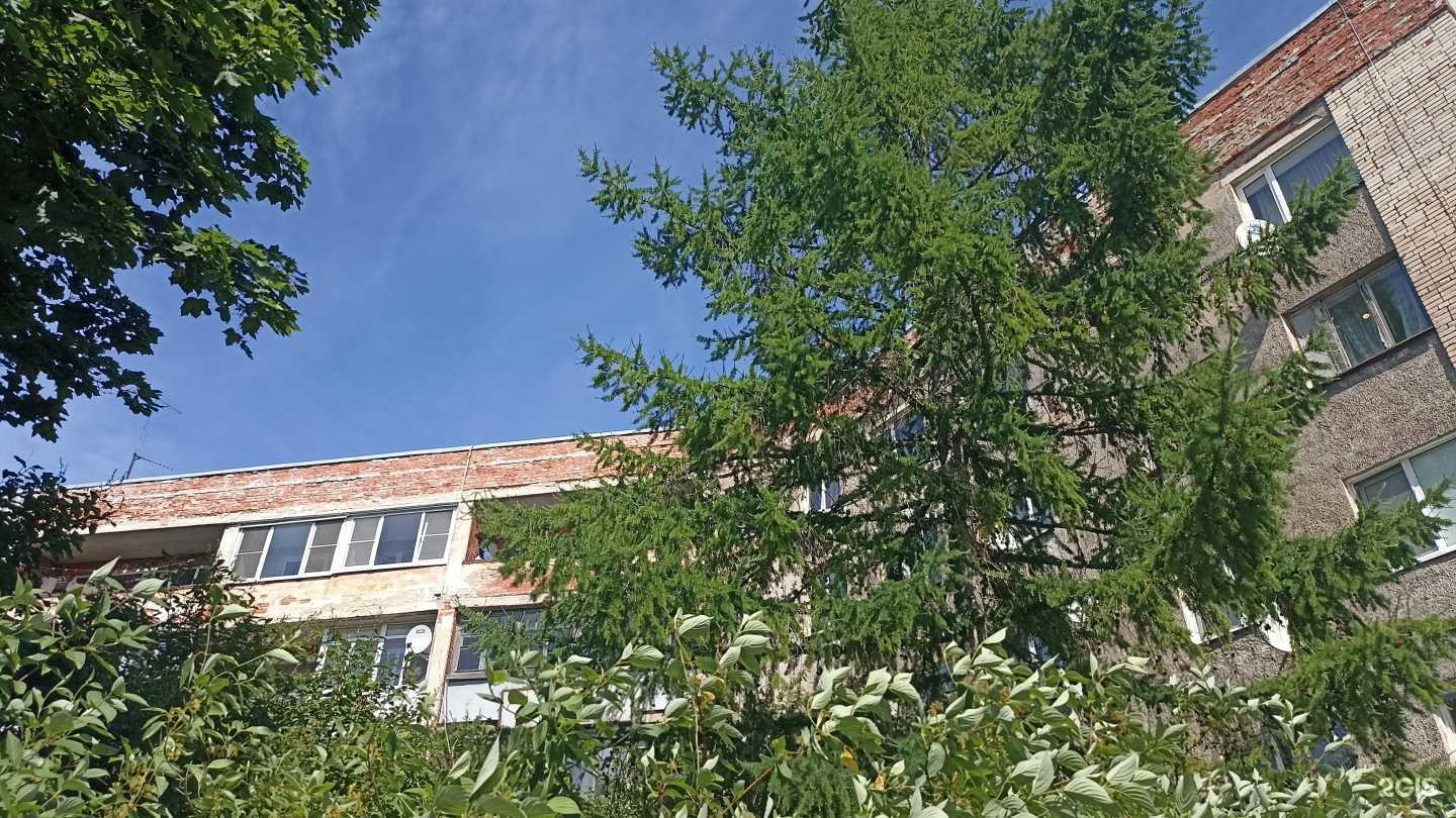 Отзывы на компанию Фаворит в Выборге c фото - фотография 2 из 2