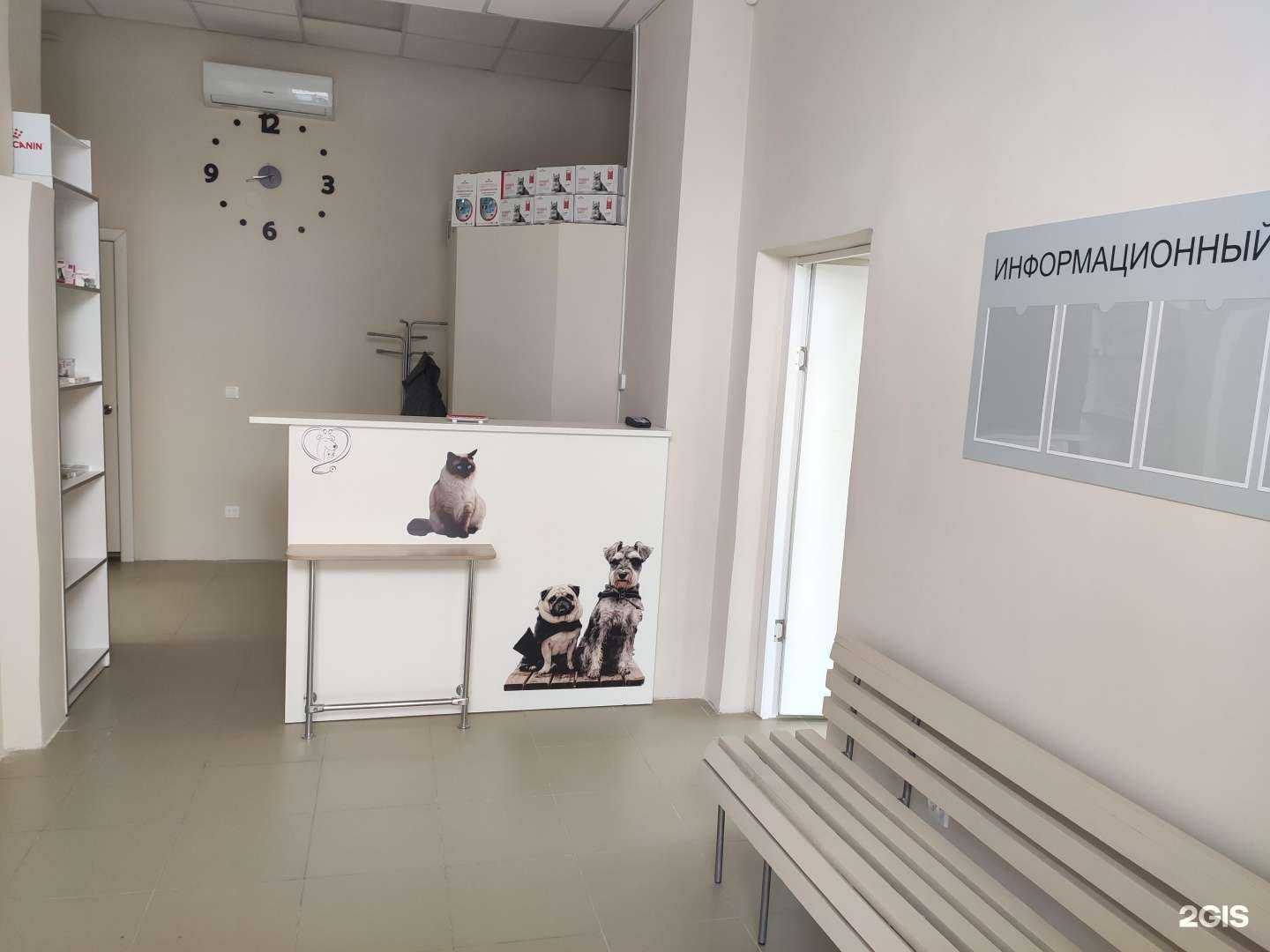 Отзывы на компанию Зооакадемия в Казани c фото